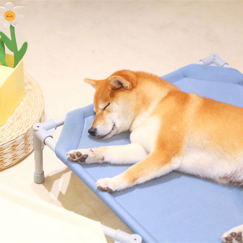 奶油色的四季小床 狗狗行军床柴犬可拆洗狗窝凉垫春夏季防潮透气