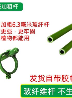 植物支撑杆兰花护叶枝龟背竹海芋专用园艺扶持架花卉防倒伏固定器