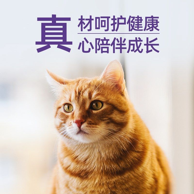 喜宠屋&斑砖真食可见沙丁鱼主食冻干 蓝莓蔓越莓生骨肉猫粮200g