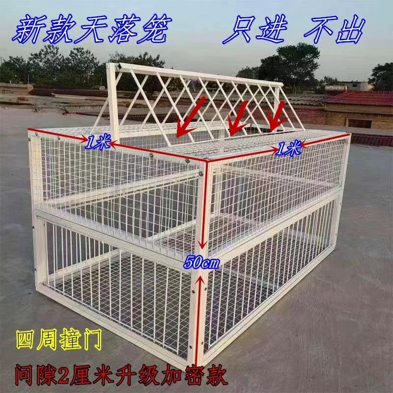 天落笼鸽子笼加密鸽子活络门户外用撞门收鸽子笼铁笼跳笼鸽子用品
