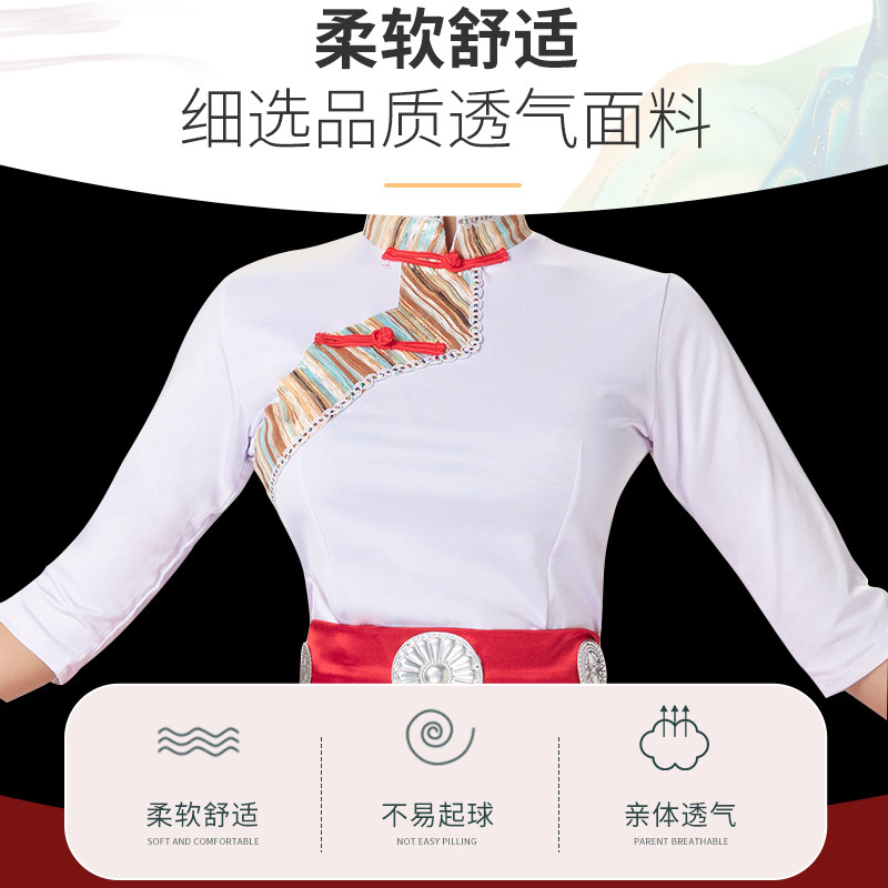 藏族舞蹈服装女成人民族演出服艺考练习裙广场表演服半身裙大摆裙