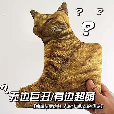 丑猫咪抱枕定制无描白边定做照片抠图玩偶宠物异形恶搞彷真礼物人