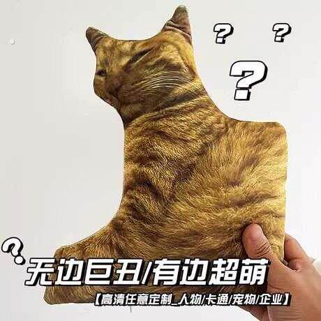 丑猫咪抱枕定制无描白边定做照片抠图玩偶宠物异形恶搞彷真礼物人