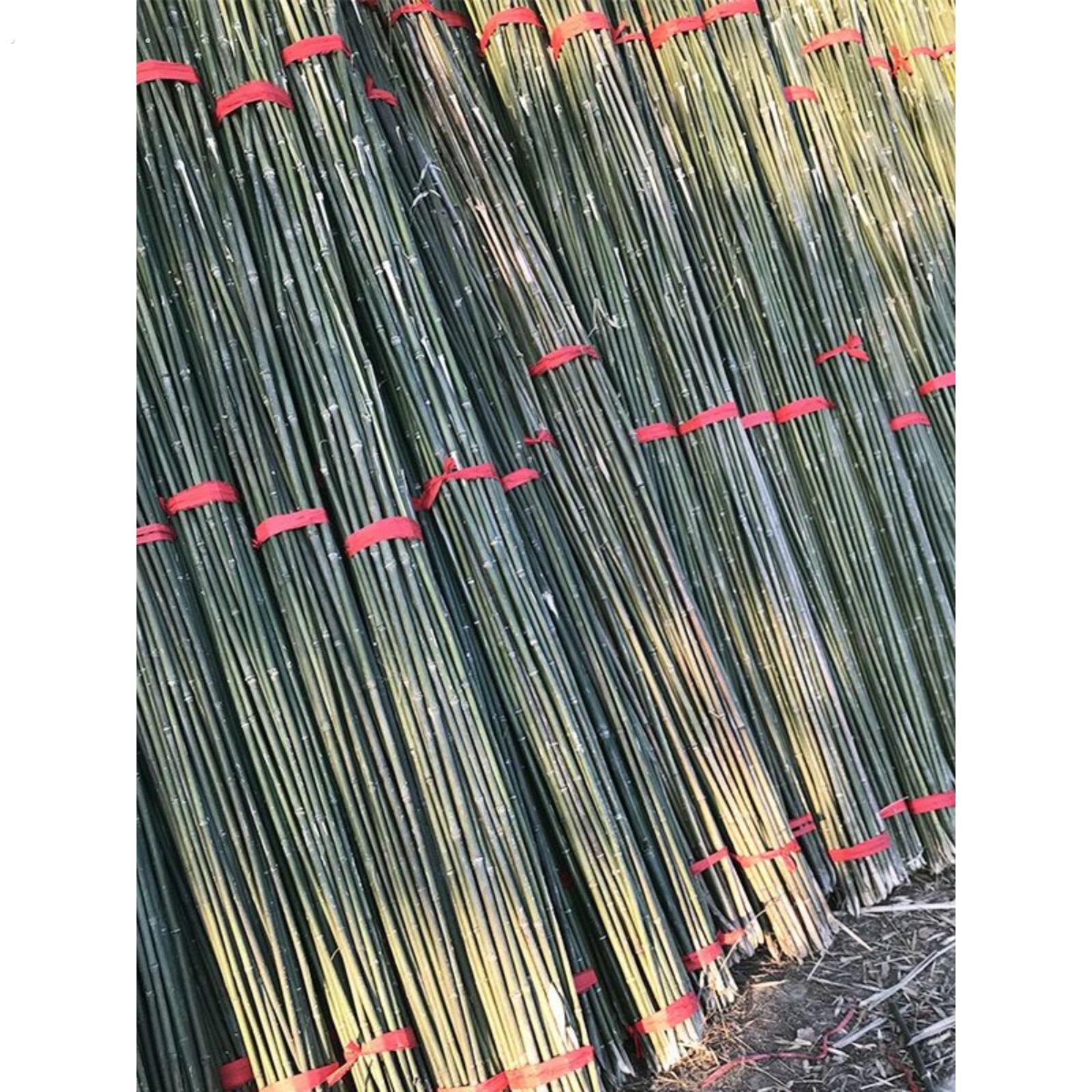 小竹子细竹竿小竹竿蔬菜爬藤竹杆架种菜园搭架豆角架篱笆栅栏彩旗