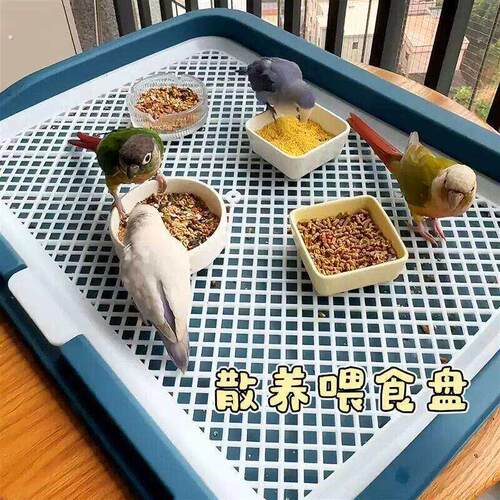 鹦鹉食盆大号谷壳分离喂鸟神器玄风小太阳防打翻防飞溅鸟粮喂食盘