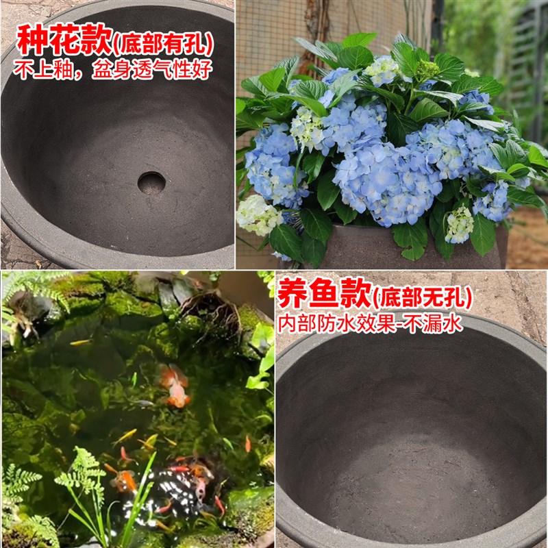 1米特大养荷花睡莲紫砂养鱼缸花盆户外庭院盆景水培栽绿植物种树