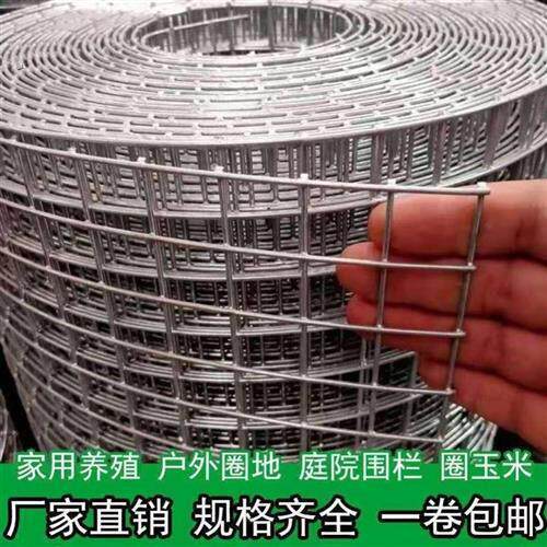 新品新款镀锌铁丝网片围栏小孔加粗养殖网狗笼养殖建筑钢筋长孔网
