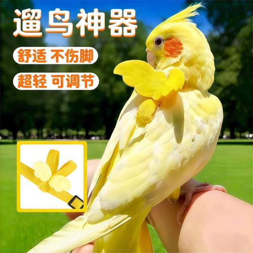 鹦鹉牵引绳外出放飞绳户外遛鸟神器玄凤牡丹超轻不伤脚抱婴袋小鸟