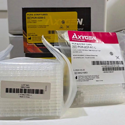 PCR管鼓盖0.2MLPCR管PCR-02D-CAXYGEN禁止人用