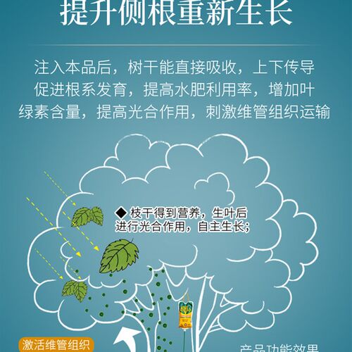 树木浓缩营养液吊针液通用型吊针袋树苗移栽嫁促成活大树激活原液