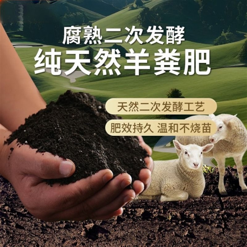 羊粪发酵有机肥蔬菜专用羊粪肥通用种菜农家肥料羊屎粪腐熟鸡粪肥