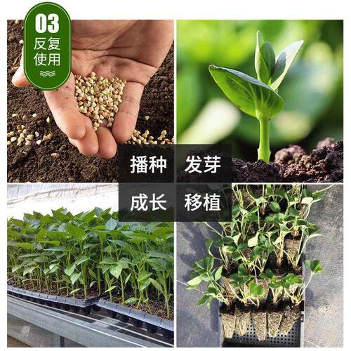 育苗盘穴盘育苗盒育苗盆蔬菜育苗盆塑料育苗器苗木多肉整箱箱