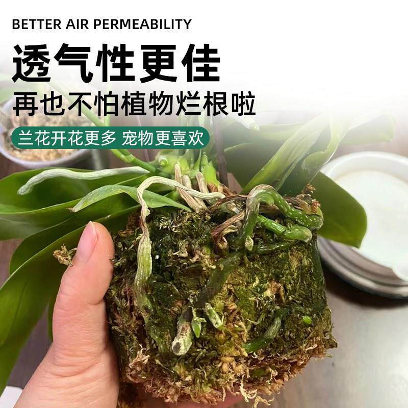 天然干苔藓水苔蝴蝶兰专用爬宠乌龟冬眠草青苔兰花石斛种植营养土