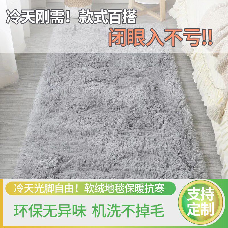 加厚防滑可水洗丝毛客厅卧室茶几地毯飘窗床边地垫满铺地毯可定做