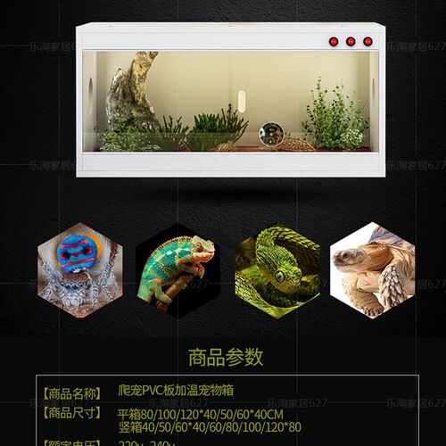 爬箱PVC芦丁鸡饲养箱 蜥蜴陆龟蛇刺猬鸟异宠加热保温箱卵化智能箱