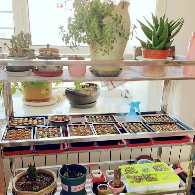 花架不锈钢铁艺带轮落地式阳台室内简约多层置物架兰花绿植花架子