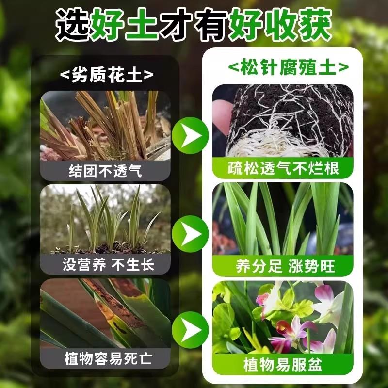 松针腐殖土天然腐叶腐熟纯君子兰花多肉泥炭营养土养花通用专用土