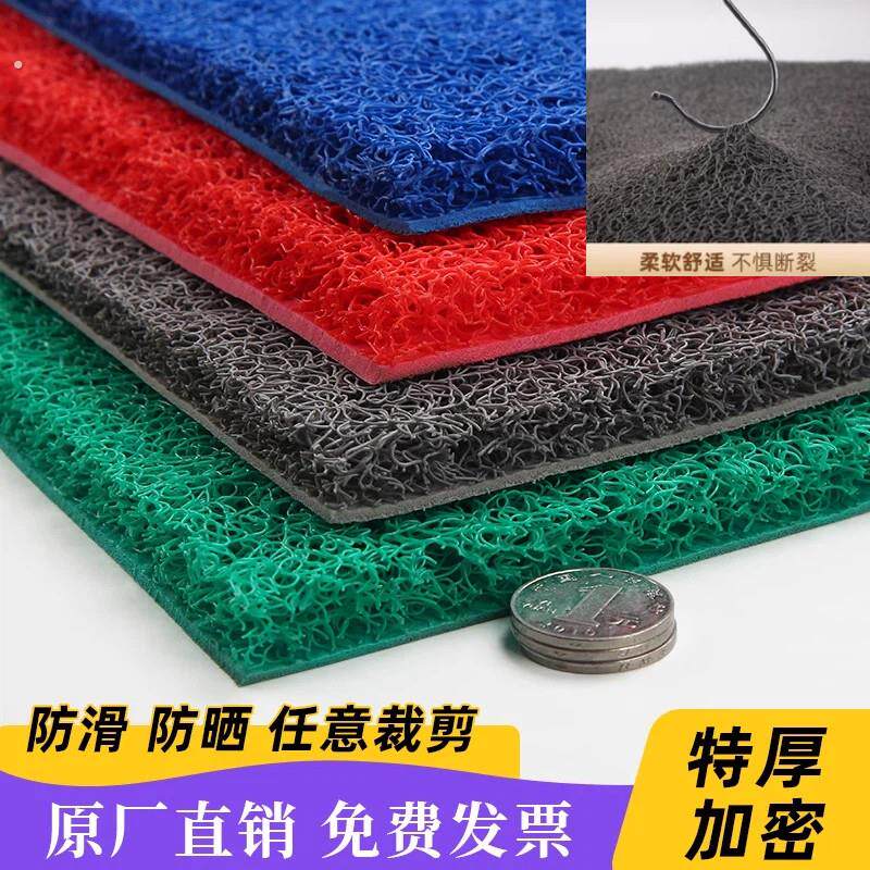 钢丝圈地垫门口地垫加厚塑料丝圈脚垫大门口防滑防水地毯家用入户