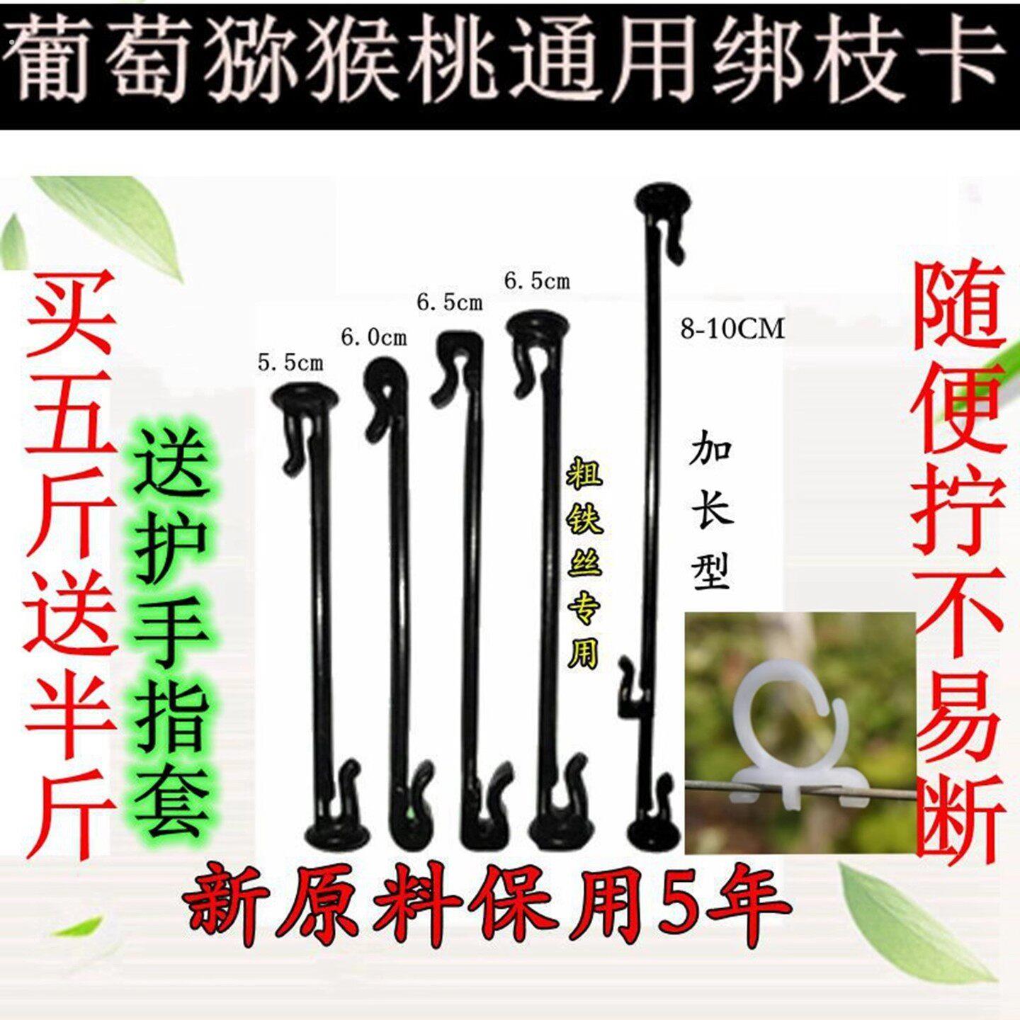 葡萄绑枝卡蓝莓绑蔓卡猕猴桃枝蔓固定卡绿植塑料绑枝器绑枝丝卡扣