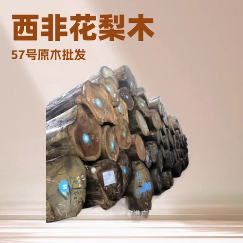 广星木业西非花梨原木现货批发