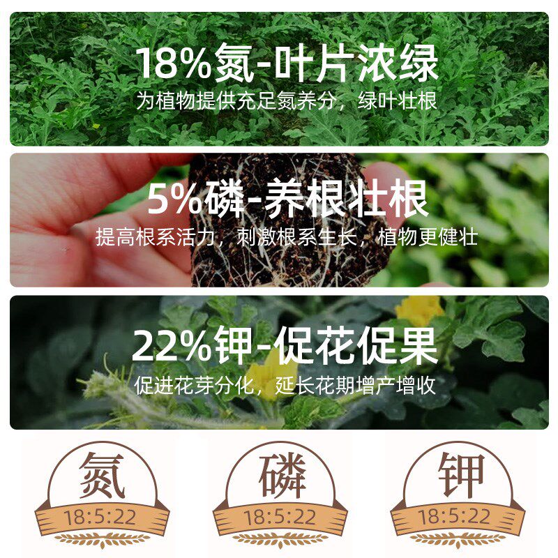 西瓜专用肥料缓释肥复合肥西瓜苗种植增甜膨果阳台蔬果盆栽控释肥