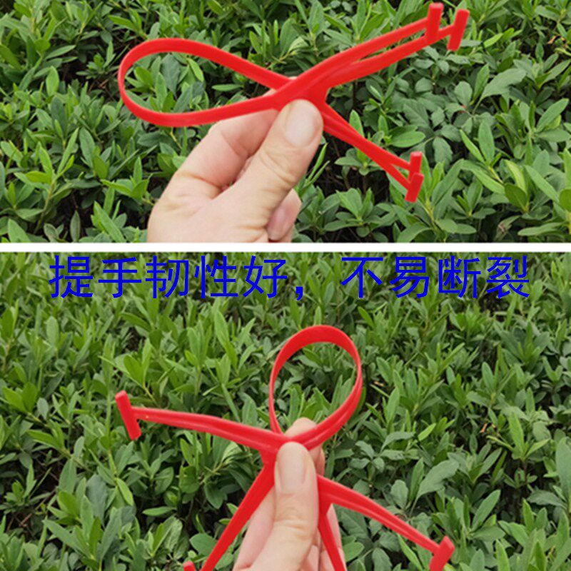 包邮手提圆形草莓蓝子塑料水果园蔬菜篮采摘杨梅桑葚樱桃枇杷框