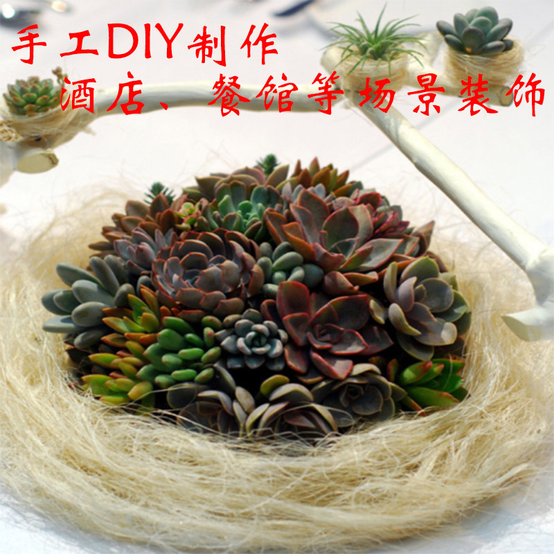 1斤拉菲草天然麻丝 代替纸丝礼盒喜糖盒填充物 限时特价满额免邮