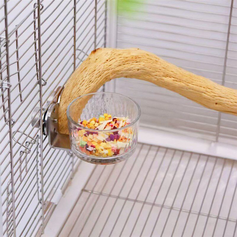 洪屿鹦鹉食盆快拆不锈钢食罐玻璃碗水杯鸟用品水果盘喝水多用