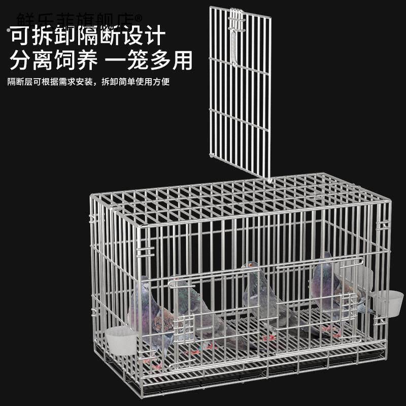 鸽子笼家用新款鸽笼养鸽子专用笼配对笼鸟笼大号特大不锈钢养殖笼