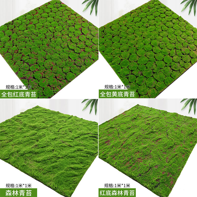 森系仿真苔藓草坪儿童摄影道具时尚影楼拍照背景装饰造景地毯草皮