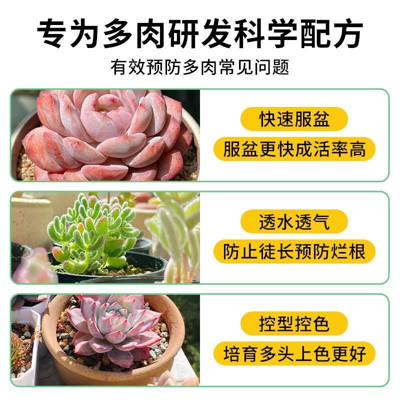 多肉颗粒土多肉土专用营养土壤种植土泥盆栽铺面石纯颗粒花土包邮