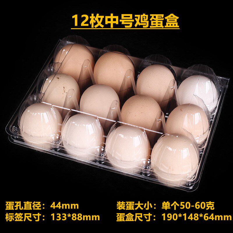中号12枚三排鸡蛋盒塑料蛋托一次性包装盒防震放鸡蛋的盒子现货包