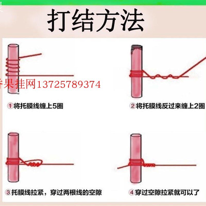 塑钢线 聚酯托幕线大棚养殖种植支撑压膜线火龙果百香果菌类架子