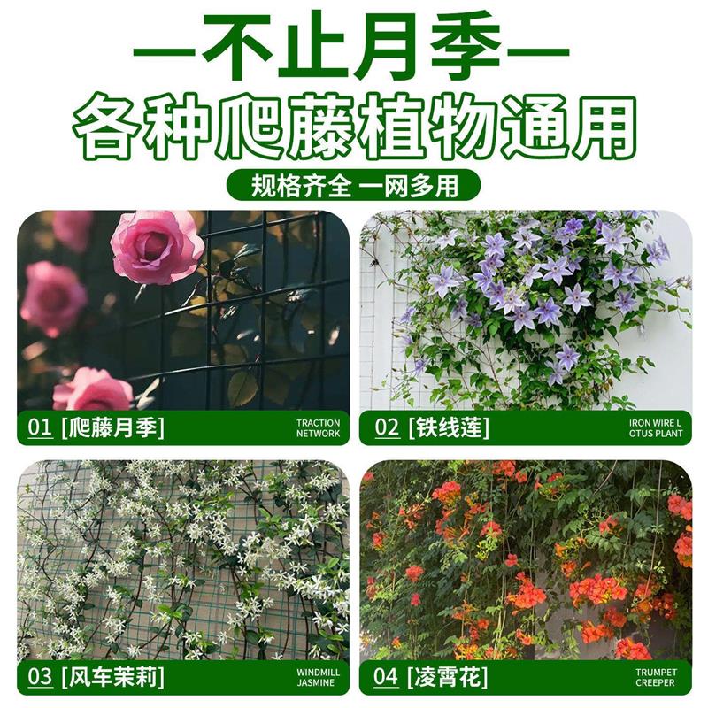 月季爬藤网植物攀爬网种植农用方格网新型造型专用铁丝网家用庭院