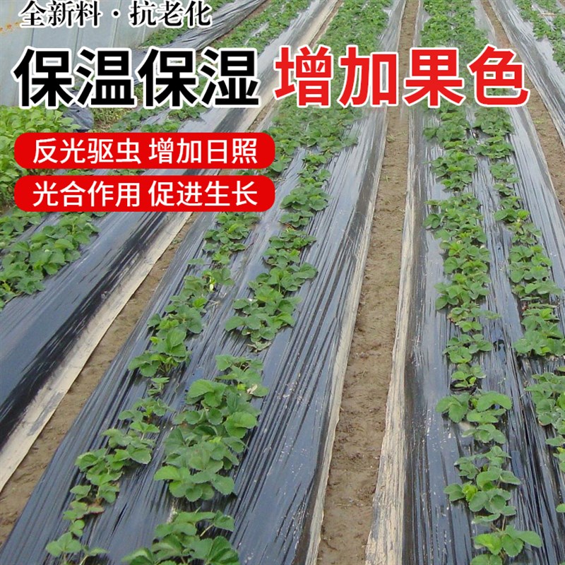 果树果园蔬菜银灰反光地膜除草防虫西瓜草莓保湿农用银黑双色地膜