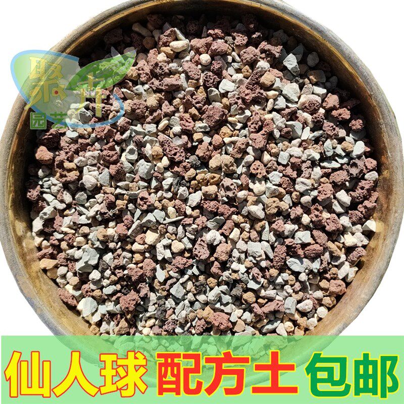 仙人球专用土(纯颗粒)营养配方土仙人掌仙人球类多肉介质-包邮