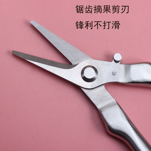 不锈钢修枝剪盆景专用造型工具球节叶芽摘果剪刀月季剪园艺剪专业
