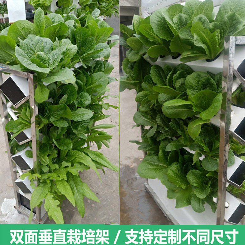 家庭阳台用无土栽培设备 自动化水培蔬菜种植架 多层水耕种菜机