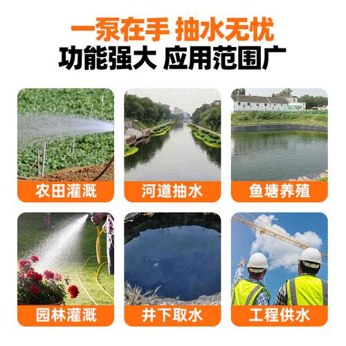 不锈钢潜水泵抽水泵家用小型220V高扬程大流量农用灌溉水井清水泵