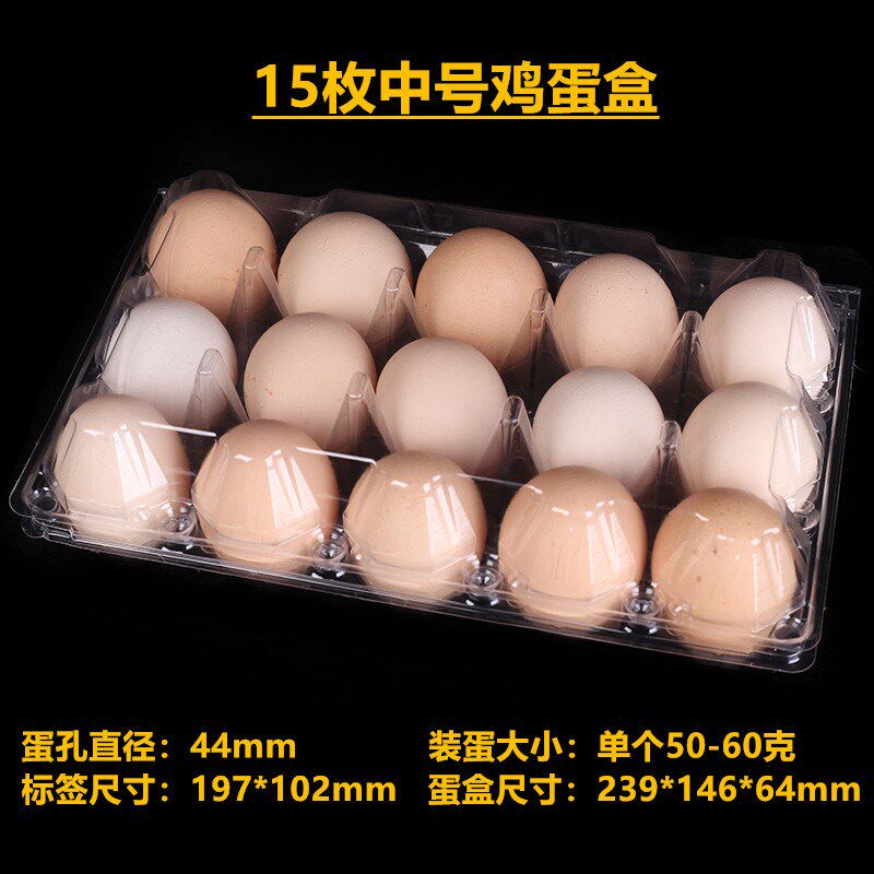 中号15枚鸡蛋盒塑料蛋托一次性包装盒防震放鸡蛋的盒子现货包邮