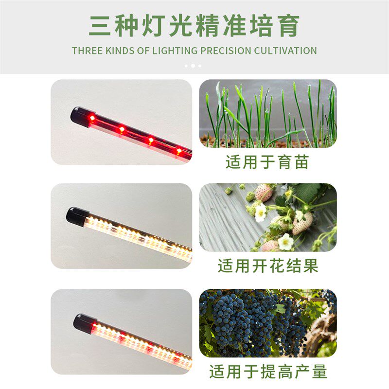 LED植物生长补光灯全光谱家用室内多肉上色防徒长微景观定时遥控