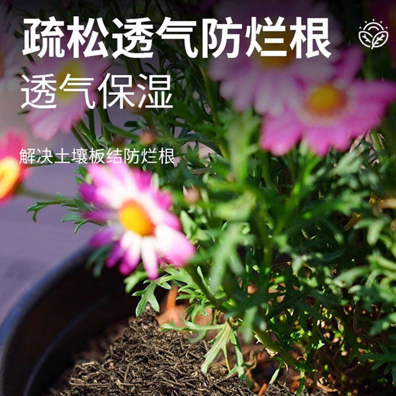 松针土腐殖土天然腐叶土兰花多肉君子兰专用腐熟松针叶营养土通用