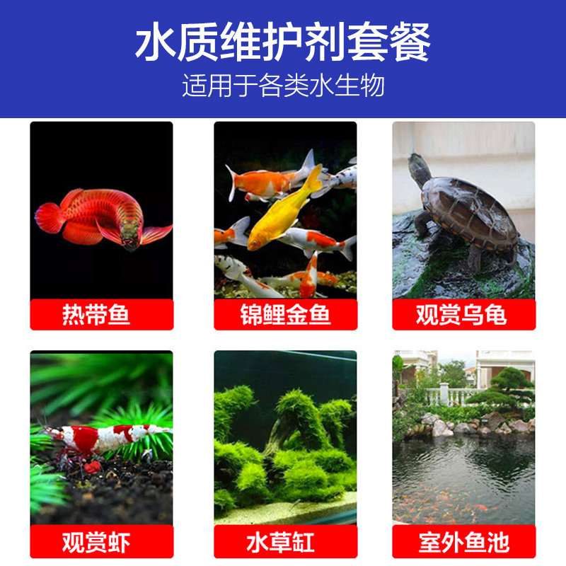 硝化菌消化细菌除氯稳定剂水质安定剂鱼缸净水剂鱼药硝化细菌