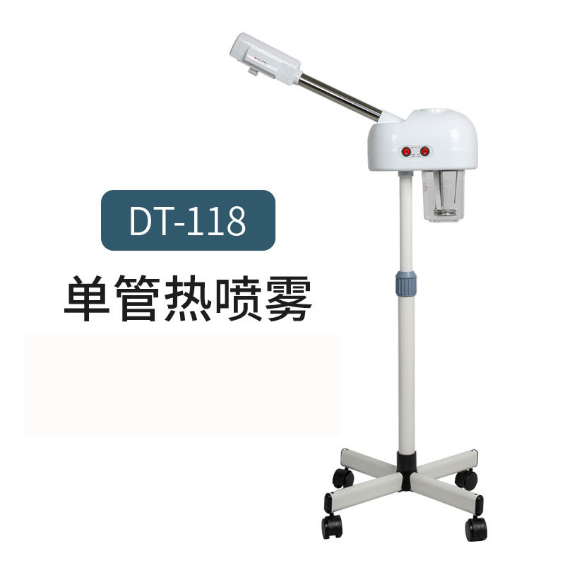 冷热双喷蒸脸仪 家用蒸脸补水仪器 可加精油蒸脸机 DT-118冷热喷