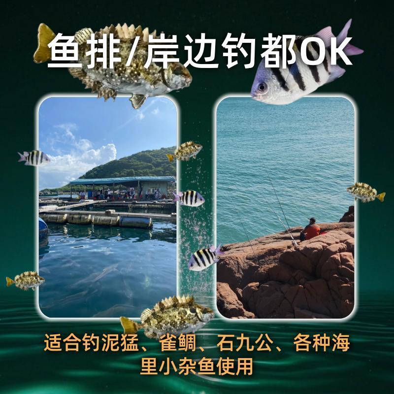 海钓泥猛手竿套装鱼漂鱼钩主子线组鱼饵鱼排矶钓海边手竿海钓小鱼