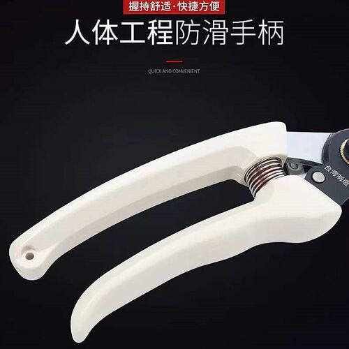 果树剪修枝修树枝园艺剪刀专用花艺枝剪子剪枝园林工具花剪修枝剪