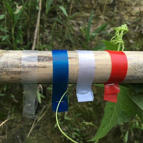 番茄绑枝机胶带黄瓜绑枝器专用胶带葡萄绑蔓器带绑枝带整箱包邮