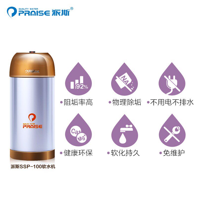 美国派斯无盐软水机SSP-100/200/300 家用中央全屋阻垢器