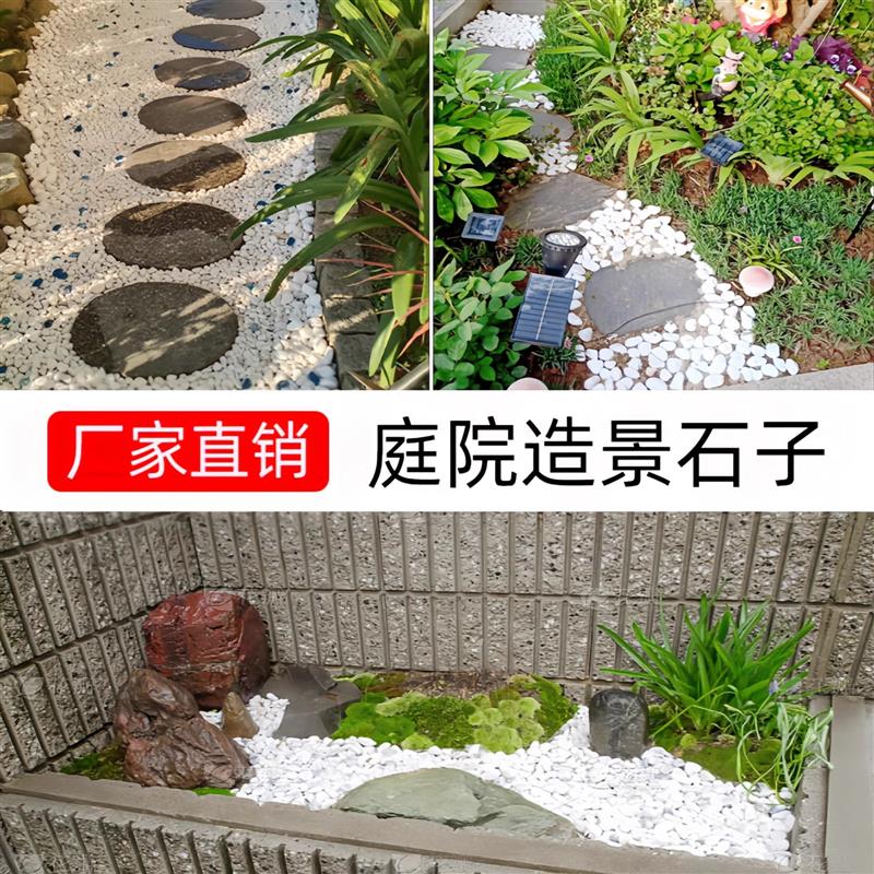 广西天然白石子园林饰品鹅卵石造景装饰花盆鱼缸白色石子