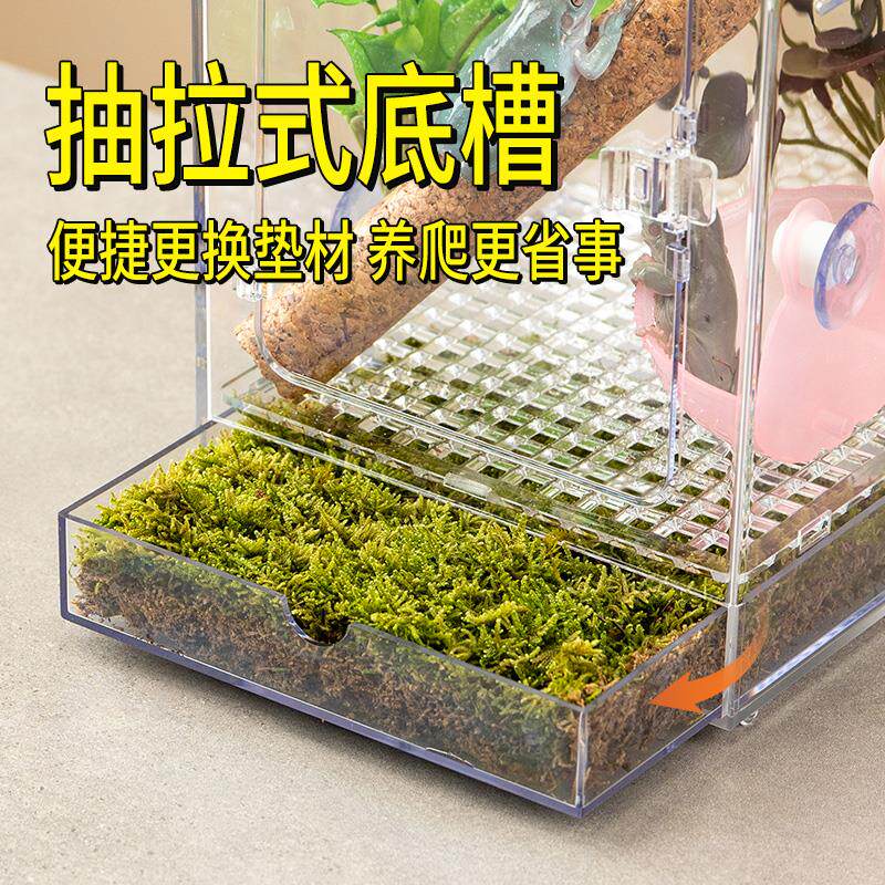 睫角守宫饲养盒套装爬宠树栖压克力饲养箱造景宠物蛇姥爷树蛙盒子
